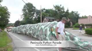 Peninsula Python Day Parade 2013
