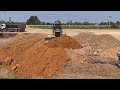 Smart Driver SHANTUI Dozer Landfilling new Foundations + 25.5-Ton Dump Truck Earthmoving