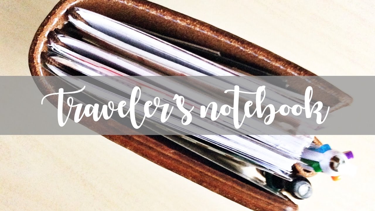 TN // Tutto quello che hai sempre voluto sapere ma non hai mai osato chiedere 🤣