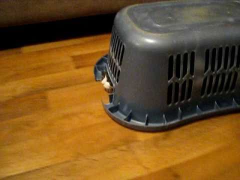 cat runs out from under laundry basket youtube