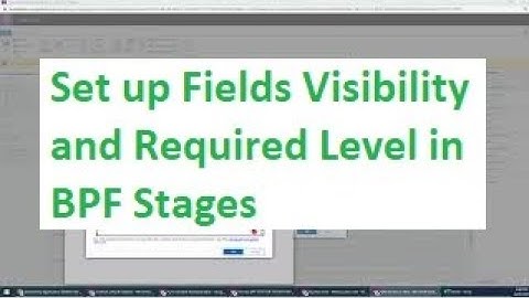 Set up Fields Visibility and Required Level in BPF Stages