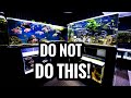 Watch BEFORE Buying African Cichlids - Beginners Guide