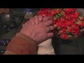 حبيت حياتي حبيت حياتي
