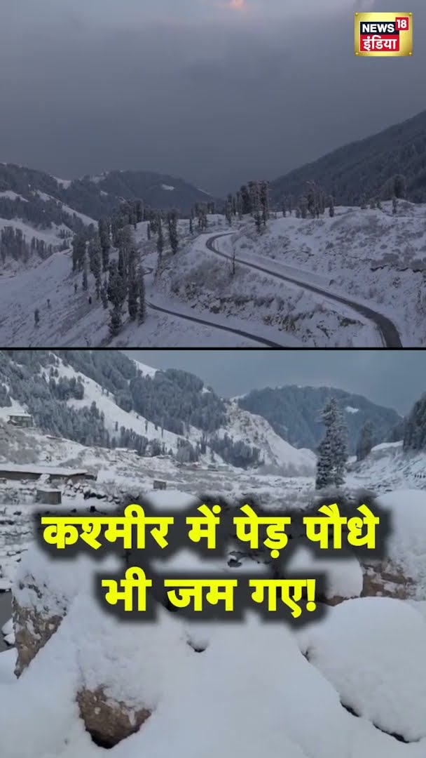 कश्मीर में पेड़ पौधे भी जम गए | Kashmir Snowfall | Snow Fall | News18 India | #Shorts