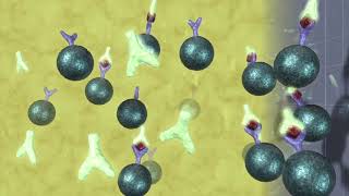 Access 2 Benchtop Immunoassay Analyzer Product Video