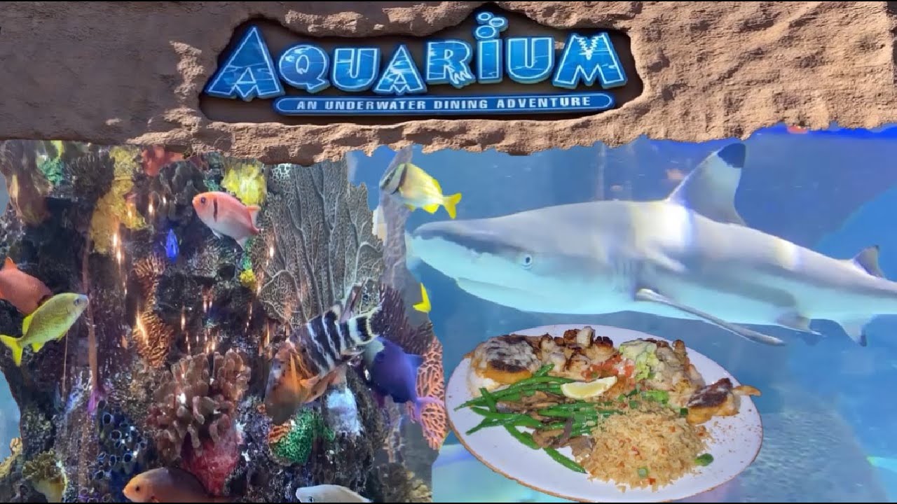 Aquarium Restaurant Nashville, Tennessee Review and Walkthrough YouTube