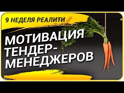 Работа с ТЕНДЕР-МЕНЕДЖЕРАМИ? Мотивация и обязанности менеджера по тендерам! Реалити-Шоу (9 НЕДЕЛЯ)