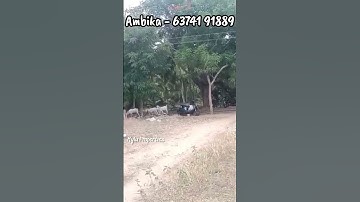 3000 Sqft individual plot for sale in Erode ready to occupy plot for sale Mylu Properties