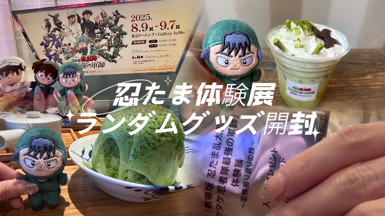 忍たま体験展￤グッズ開封￤少しだけハイキュー‼︎も開封
