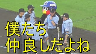 審判とはお友だちのつば九郎。相変わらずオオボケ始球式をするドアラ。 マイナビオールスターゲーム2021 楽天生命パーク宮城