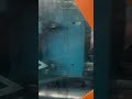Observe el proceso de #moldeo por #inyección que da forma a las piezas interiores del #automóvil