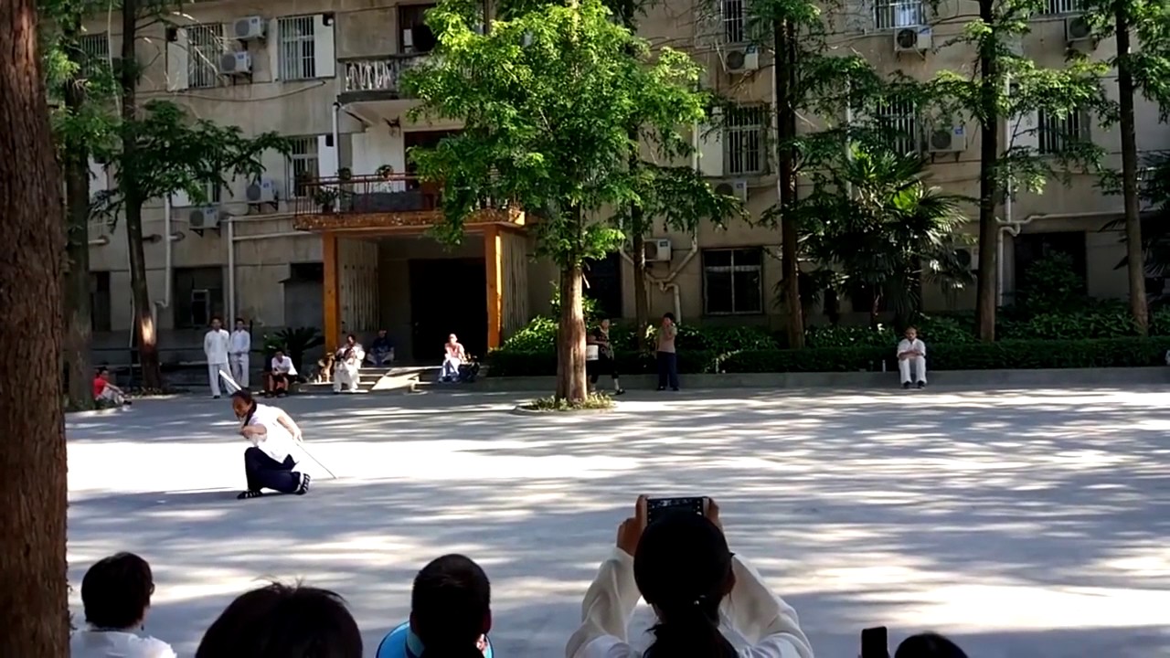 Wudang Ba Xian Gun (Eight Immortal Staff)