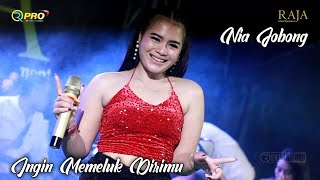 DJ INGIN MEMELUK DIRIMU - NIA JOBONG