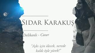 Sidar Karakuş - Delikanlı Birsen Tezer Cover