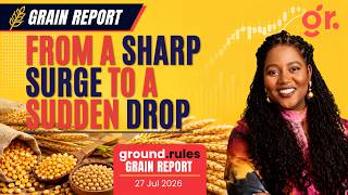 From a Sharp Surge to a Sudden Fall | Grain Overview – 28 Jul 2026