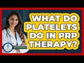 What Do Platelets Do In PRP Therapy? - Orthopedic Support Network