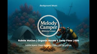 Subtle Motion | Organic House x Deep Flow | 024