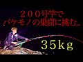 【大物釣り】巨大魚の巣窟に最強竿で挑む!!!