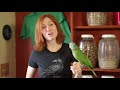 Large or Aggressive Parrots