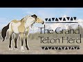 Clangen Cats as Horses Pt 2 💙🐴 The Grand Teton Herd