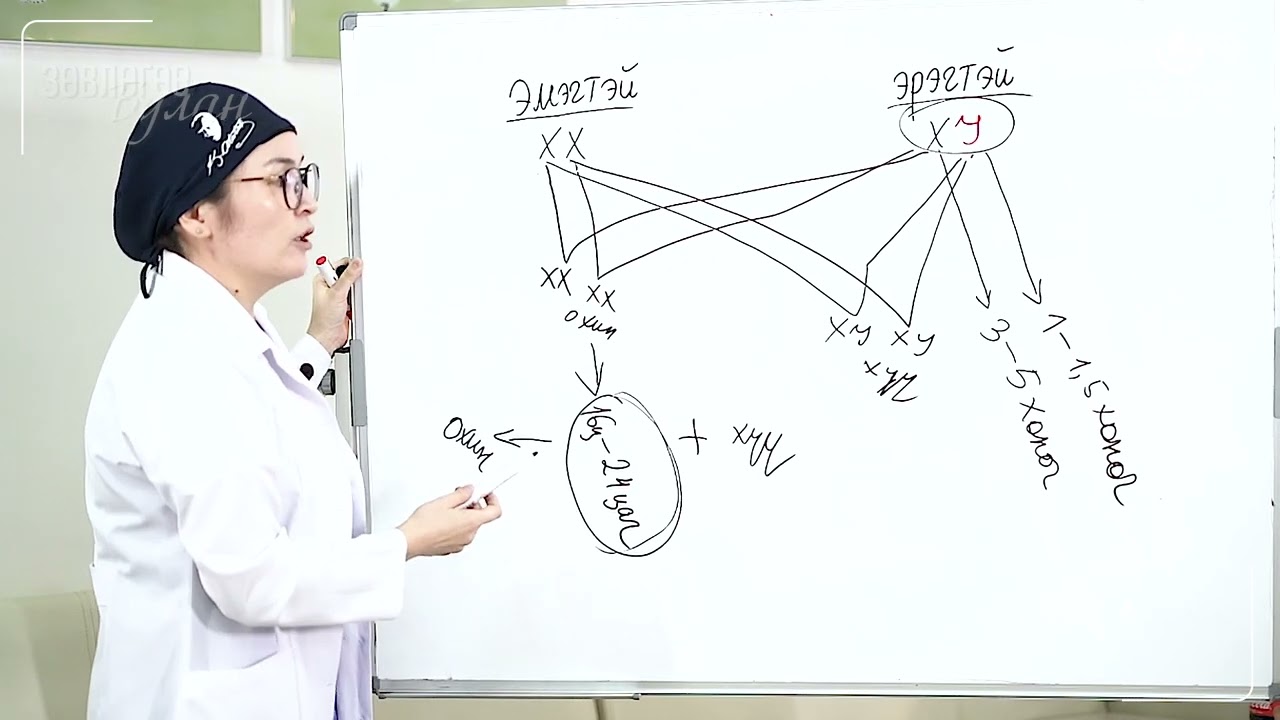 Хүү юу охин уу