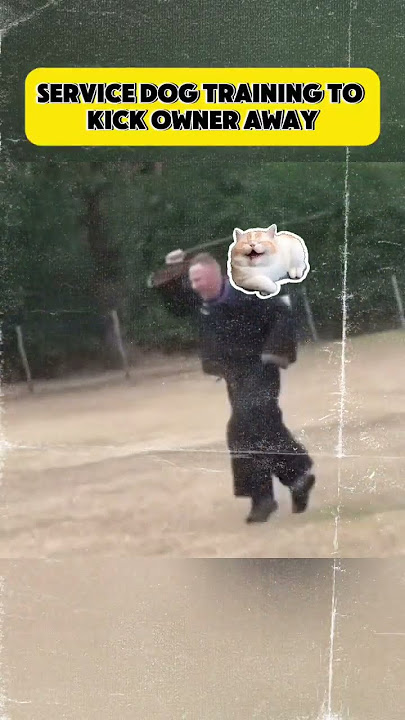 copyC76EB975-3586-48DA-B520-7EA631E1BBE7