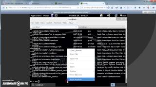 CSE 548 - CyberSecurity Lab Project