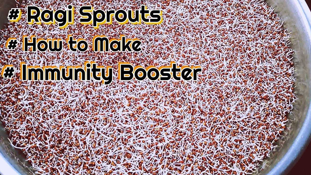 ఎన్నో పౌష్ఠిక విలువలు ఉన్న రాగులు Cloth లో మూటే కట్టకుండానే మొలకలు👌 | How to Make Ragi Sprouts