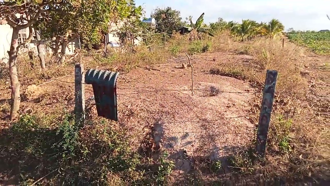 Bán lổ lô đất 5.5 sào gái 480tr có thương lương LH chính chủ 0393270104 ấm