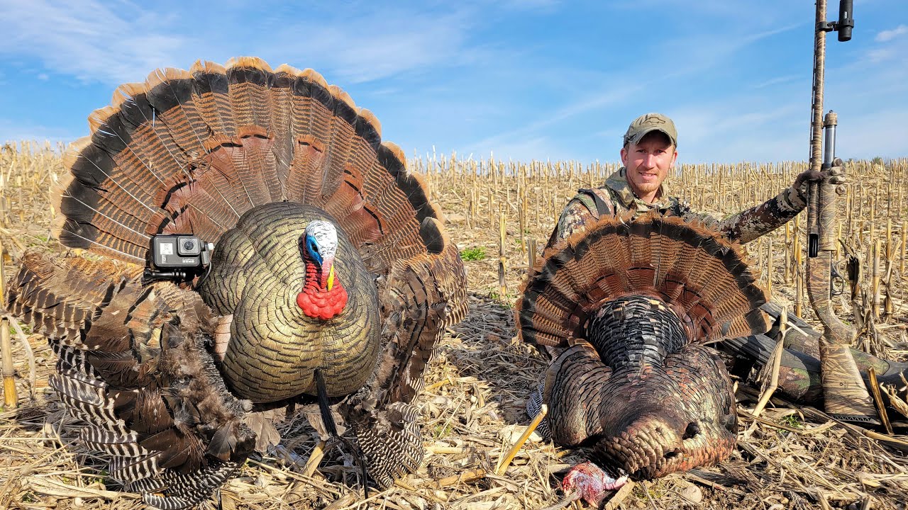 Spring Turkey Hunting Public Land (Reaping Decoy Gets Another) YouTube
