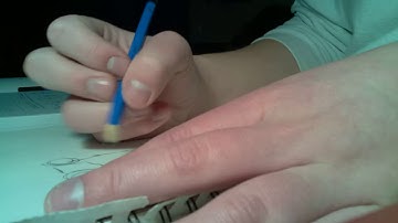 Raspberry Pi: Camera Module Time-lapse Video Project Demo (Student work/ SS)