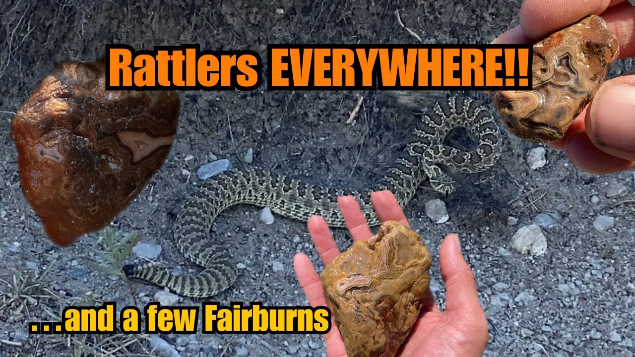 A Hot Day Of Fairburn Agate Hunting… I Almost Got Bit By A Rattlesnake!
