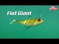 Flat giant