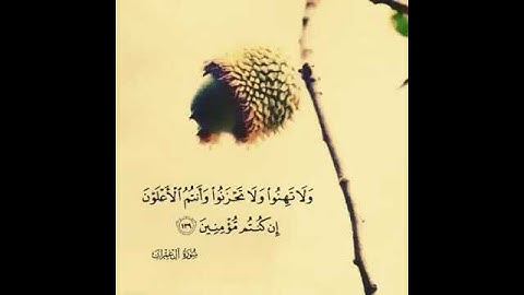 أجمل تلاوة رائعة جميلة 🧡حالات واتساب مقاطع دينية قصيرة#تلاوات_خاشعة 🍃#قران_كريم