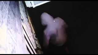 Arsonist catches on  fire - Greenacre