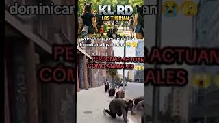 KL RD LOS THERIAN 🦊🦊