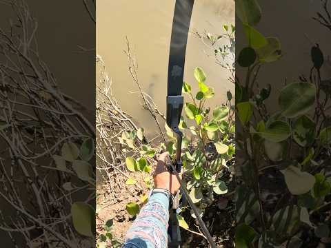 Uploads from Back 2 Basics Adventures