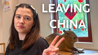 Grocery store in China / more capybaras and final thoughts ￼