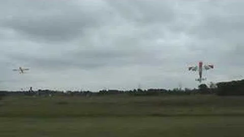 The Circus in Action!