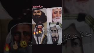 النزار اللي ظهر علمه بيان … و معد سادس جد عمره ما يهان .. و جدنا عدنان واضح بالمكان