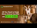 All-You-Need-to-Know-About-Animal-Sacrifice-on-Eid-al-Adha-