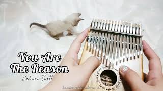 You Are The Reason Kalimba Cover with Tabs || Calum Scott