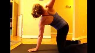 Quadruped torso rotation