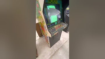 Arcadia Auctions #1 Centipede