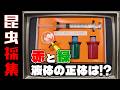 懐かしの昆虫採集セット！赤と緑の液体の正体は…？の巻