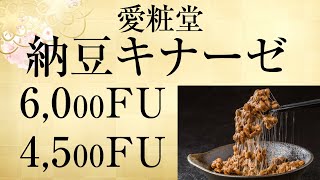 愛粧堂 納豆キナーゼ