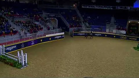 Large pony hunter - Hand In My Pocket- Estella Wil...