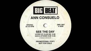 Baixar Ann Consuelo - See The Day (Hyped Up Club Mix) Big Beat Records 1992