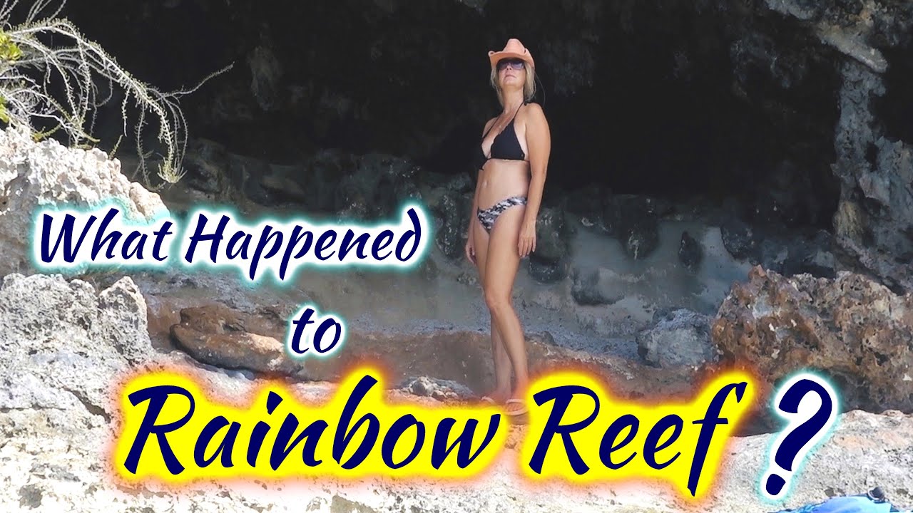 SDA39 What Happened to Rainbow Reef?