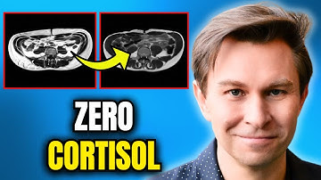This Will Get You to 0% Visceral Fat in 30 Days! (Drops Cortisol) | Dr. David Sinclair